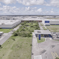 Nordeste será o ponto de partida para os híbridos flex da Stellantis