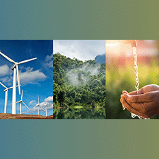 Termo ESG ganha cada vez mais notoriedade