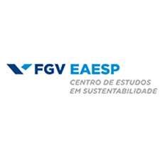 Pegada de carbono de automóveis fabricados no Brasil