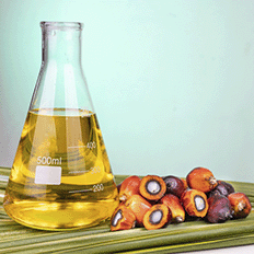 Óleo de palma é a matéria-prima com maior eficiência para o desenvolvimento dos biocombustíveis de segunda geração 