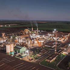 BP Bunge Bioenergia implementa solução que utiliza IA para controle avançado multivariável de processos industriais