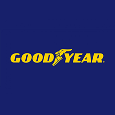Goodyear recebe o Prêmio AutoData 2023 – Os Melhores do Setor Automotivo na categoria Inovação Tecnológica Fornecedor 