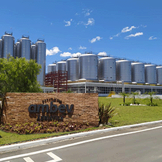 Ambev se destaca mundialmente e fortalece sua atuação na agenda ESG