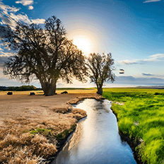 Mercado empresarial: Compromisso ambiental perante o caos climático
