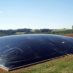 Biodigestor é uma alternativa sustentável e rentável 