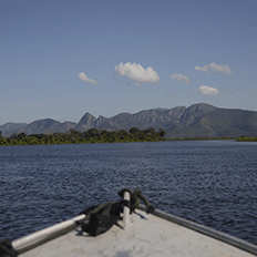 ISA CTEEP anuncia uma nova parceria com o Instituto Homem Pantaneiro 