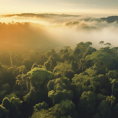 Mitsubishi Electric reforça seu compromisso com as iniciativas de ESG ao obter a certificação LEED Gold