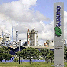 Suzano prevê investir R$ 14,6 bilhões em 2024