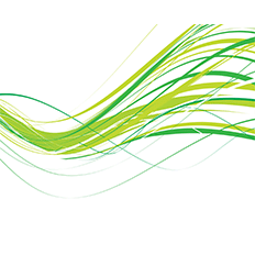 Plataforma Onda Verde está oficialmente lançada 