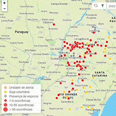A ocorrência de ferrugem asiática está em alta no Brasil 