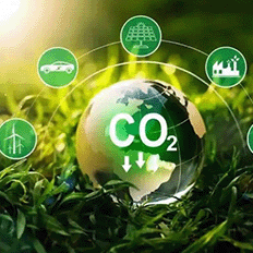 O ingresso de players nacionais no mercado de certificação de créditos de carbono 