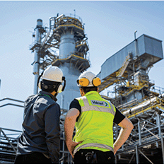 O mercado de papel e celulose e suas tecnologias