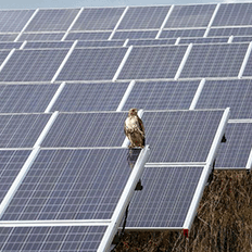 Trina Tracker Brasil passa a comercializar seus produtos com a opção de financiamento pelo Finame