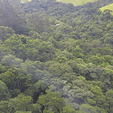 Araribá Jardim Botânico realiza em sua sede em Amparo um encontro com representantes de 15 países