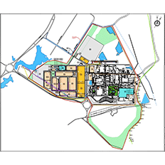 BYD apresenta relatório detalhado do plano de investimentos no Brasil 