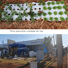 Agrishow 2023: Novas tecnologias, soluções inovadoras e sustentabilidade