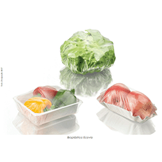 Sustentabilidade e o uso dos Bioplásticos