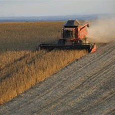 Brasil retoma o compromisso de diminuir suas emissões de gases de efeito estufa