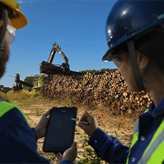 Gerdau alcança pela primeira vez a nota A- no reporte do módulo Mudanças Climáticas do ciclo de 2023 do CDP