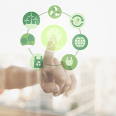 ESG tem ganhado cada vez mais espaço nas empresas brasileiras