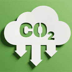 Mercado de créditos de carbono deve crescer significativamente nos próximos anos