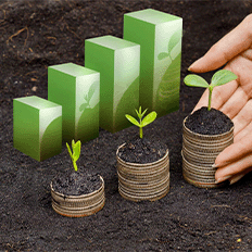 Desenvolver práticas ESG traz diversos benefícios para as empresas