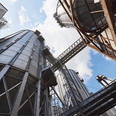 Levedura modificada poderá reduzir o custo de produção do etanol 2G