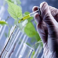 Como a biotecnologia tem sido cada vez mais essencial no desafio da humanidade de tornar o mundo mais sustentável