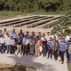 Todas as fábricas da AkzoNobel na América Latina estão operando com eletricidade 100% renovável 