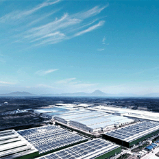 BYD aumenta o valor do seu investimento no Brasil 