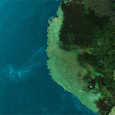 Siemens EcoTech capacita os clientes do setor industrial e da infraestrutura a tomar decisões informadas