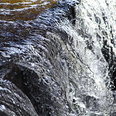 A importância da água e a urgência de se adotar práticas sustentáveis para sua preservaçã