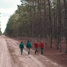 Irani avança para atingir as metas e os compromissos com o desenvolvimento sustentável 