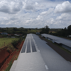 A instalação de sistemas fotovoltaicos é uma das grandes aliadas da agropecuária brasileira