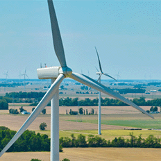 Embraed compensa 100% das emissões de gases de efeito estufa 