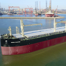 Suzano conclui a primeira viagem do Green Santos o maior navio de transporte de celulose do mundo