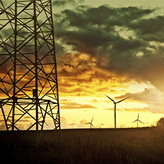 Busca por fontes renováveis de energia cresce 