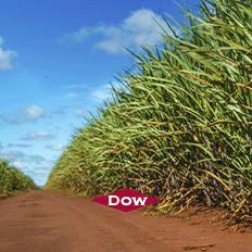 Dow permite que as usinas façam melhor uso da sua capacidade instalada ao aumentar a eficiência