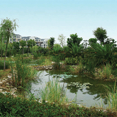 Jardim Filtrante é uma tecnologias que está sendo cada vez mais empregada  