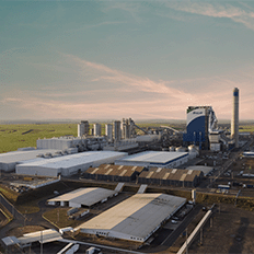 Bracell está com mais de 300 vagas abertas em suas operações