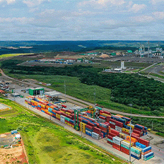 Terminal de Contêineres de Paranaguá registra um novo recorde na exportação de papel e celulose 