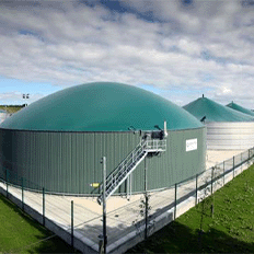 Assinatura da resolução que normatiza o licenciamento ambiental para estimular a geração de energia de biogás 