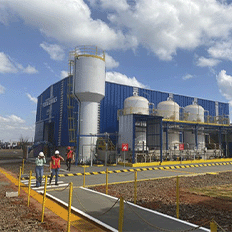 BP Bunge projeta ganhos de produtividade e redução de custos