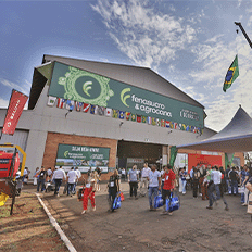 Setor bioenergético vive um momento de otimismo no Brasil  