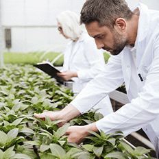 Mercado global de polímeros biodegradáveis cresçerá 14,4% no intervalo entre 2020 e 2029  