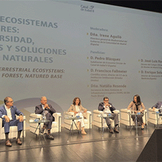 Governo de SP é o único órgão governamental a fazer parte da Rede de Soluções Sustentáveis em Água e Energia da ONU