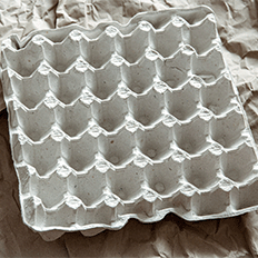 Voith Paper fortalece sua parceria com a Embalagens de Polpa Moldada