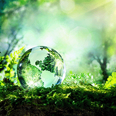 Programa Mover vai estimular as empresas a pensarem em alternativas para aumentar o índice de reciclagem dos carros