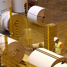 A escolha do substrato é vital para os projetos de impressão