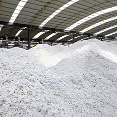 Como é produzido e quais são as vantagens do papel 100% celulose?